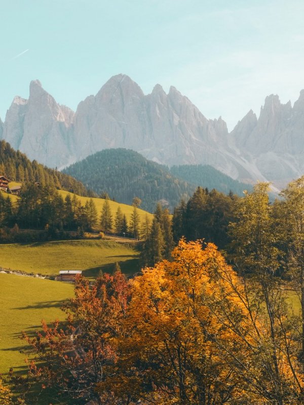 Diseño de marca Natures 02