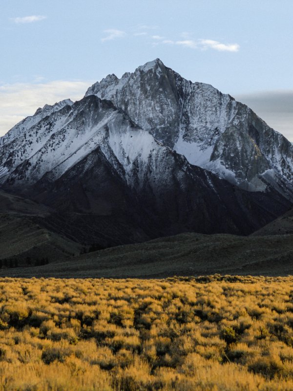 Diseño de marca Snow Mountains 02